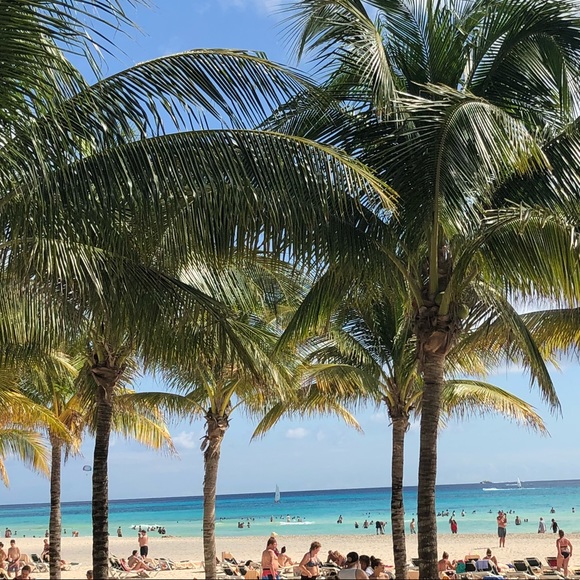 Meet your Posher, Girgir - Picture 1 of 1